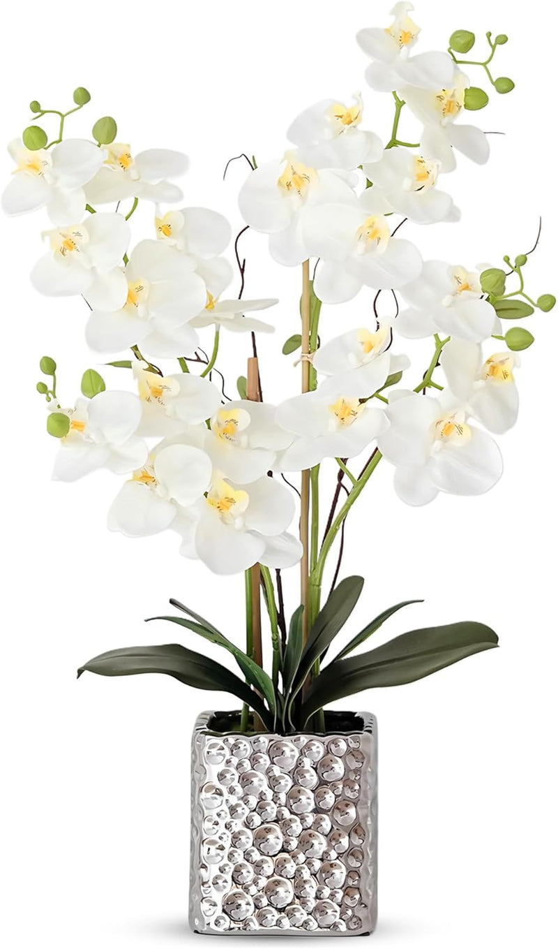Orchid dining table decoration