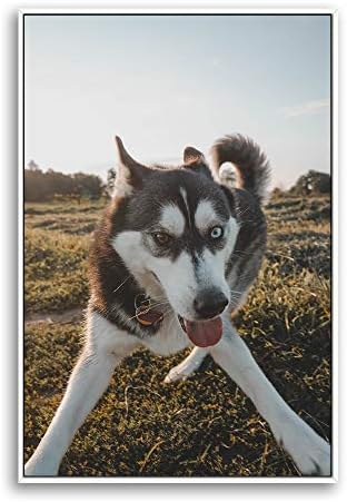 NWT Custom Framed Canvas Prints with Your Photo for Pets, Personalized Canvas Wall Art for Living Room, Bedroom - 24x36 inches