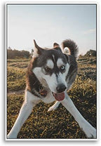 NWT Custom Framed Canvas Prints with Your Photo for Pets, Personalized Canvas Wall Art for Living Room, Bedroom - 24x36 inches