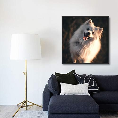 NWT Custom Framed Canvas Prints with Your Photo for Pets, Personalized Canvas Wall Art for Living Room, Bedroom - 16x16 inches