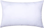 MIULEE 18x22 Inch Throw Pillow Insert by MIULEE