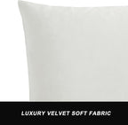 GIGIZAZA Decorative Couch Throw Pillow Covers, Pillow Cases Velvet Pillow Covers - Image 5