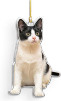 Personalized Acrylic Photo Ornament - Customized Christmas Tree Decor, Gift for Cat Lovers