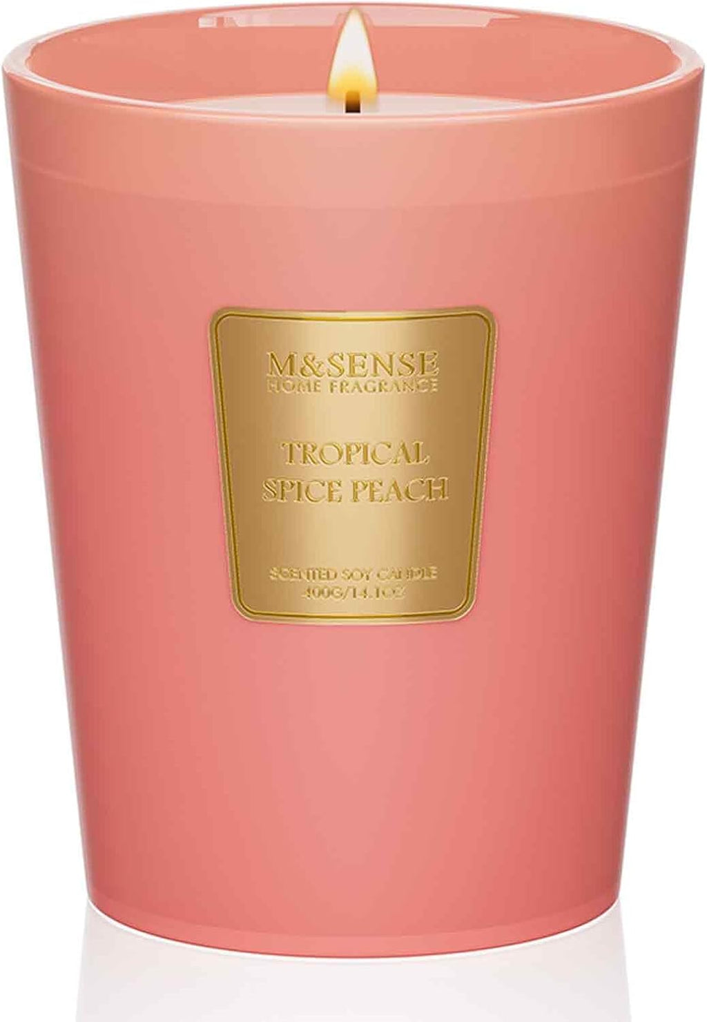 M&SENSE Tropical Spice Peach Scented Candle Home Decor, Natural Soy Wax,4.1oz 60 Hours Long Lasting Slow Burning, Aromatherapy Candle for Stress Relief