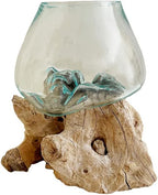 Hand Blown Molten Glass & Teak Wood Terrarium/Vase/Fish Bowl - Premium Quality (7" - 9" High)