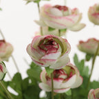 Artificial Silk Flowers Persian Buttercup Bicolor Ranunculus Flower 5 Pcs,Suitable for core Decoration,Wedding Floral Creation,Flower Arrangement DIY Project,Interior Decor（Green）