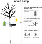 Solar Garden Lights Garden Decor, Solar Flowers Lights Outdoor Decorative,2Pack 40LED Solar Lights Outdoor Garden Waterproof for Outside Yard,Lawn,Patio,Pathway Decorations Gardening Gifts