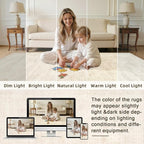 Washable Area Rugs 2x3: Living Room Bedroom Carpet Retro Beige | Vintage Boho - Image 5