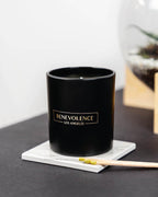 Benevolence LA Bergamot & Jasmine Scented Candle | Soy Candles, Black Candle for Home | Gifts for Women and Men | Home Fragrance | Aromatherapy | 8oz, 45 Hour Burn - Jasmine
