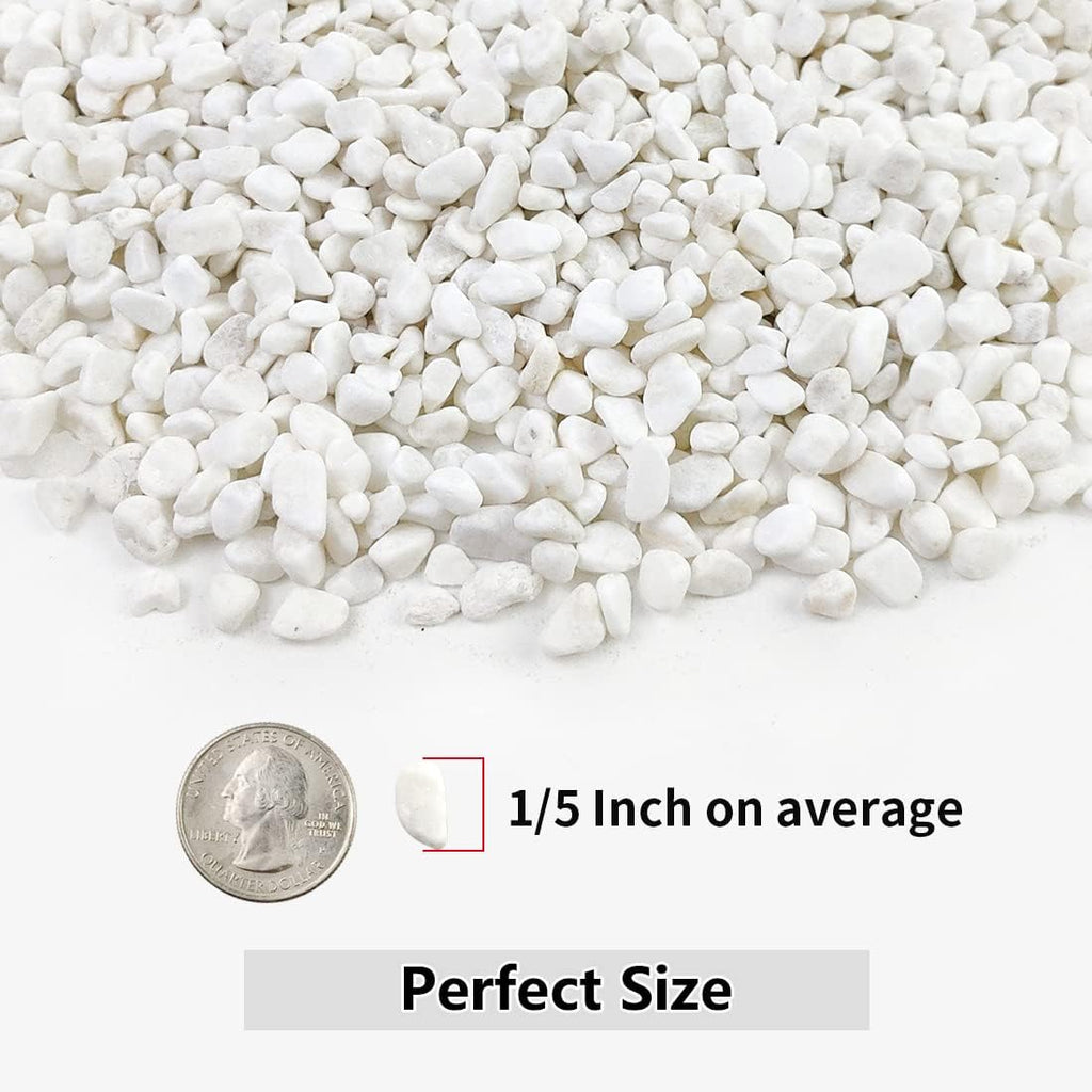 10LB Succulent and Cactus Gravel, 1/5 Inch White Natural Decorative Polished Pebbles for Landscaping, River Rocks for Plants, Vases, Aquariums, Terrarium and Outdoor Gardening