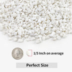 10LB Succulent and Cactus Gravel, 1/5 Inch White Natural Decorative Polished Pebbles for Landscaping, River Rocks for Plants, Vases, Aquariums, Terrarium and Outdoor Gardening
