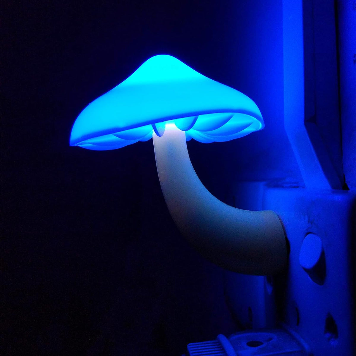 AUSAYE 5Pack LED Sensor Night Light Plug in Lamp Blue Cute Mushroom Night Lights for Adults Kids NightLight Bedroom,Bathroom,Toilet,Hallway,Stairs,Kitchen,Basement