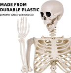 Halloween Skeletons Decorations - 5.4FT Life Size Posable Skeletons, Realistic Plastic Full Body Skeletons for Halloween Party Outdoor Haunted House Graveyard Decor