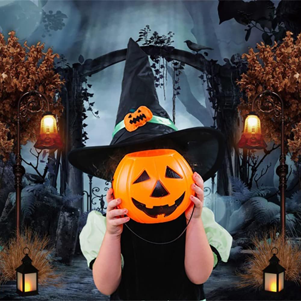 Durable Fabric Halloween Backdrop 8x6ft Horror Cemetery Iron Gate Scary Halloween Photo Background for Photography Halloween Party Decorations Wall Decor Photo Studio Decoration Supplies