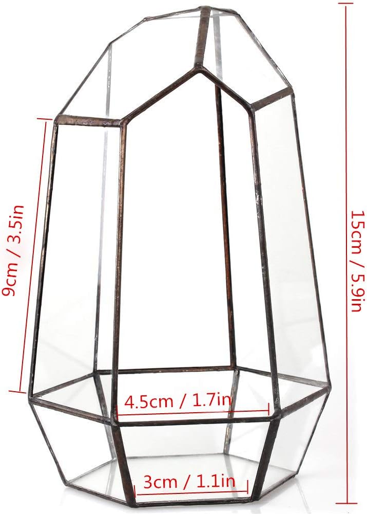 NCYP Small Geometric Terrarium - 4.1" x 3.5" x 5.9" Miniature Irregular Glass Terrarium Planter for Succulent Air Plants - Tabletop Garden Display Container, Black (No Plants, No Door)