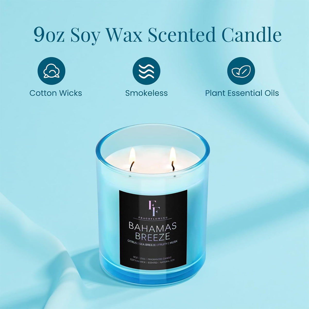 Bahamas Breeze Scented Candle, 2-Wick Luxury Soy Wax Candle, 9 oz Aromatherapy Candle Home Fragrance Candles Gift