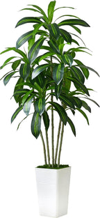 Artificial Dracaena Tree Artificial Silk Tree Faux Tree with White Tall Planter Fake Tropical Yucca Floor Plant (1, White Tall Planter, 5 FT)