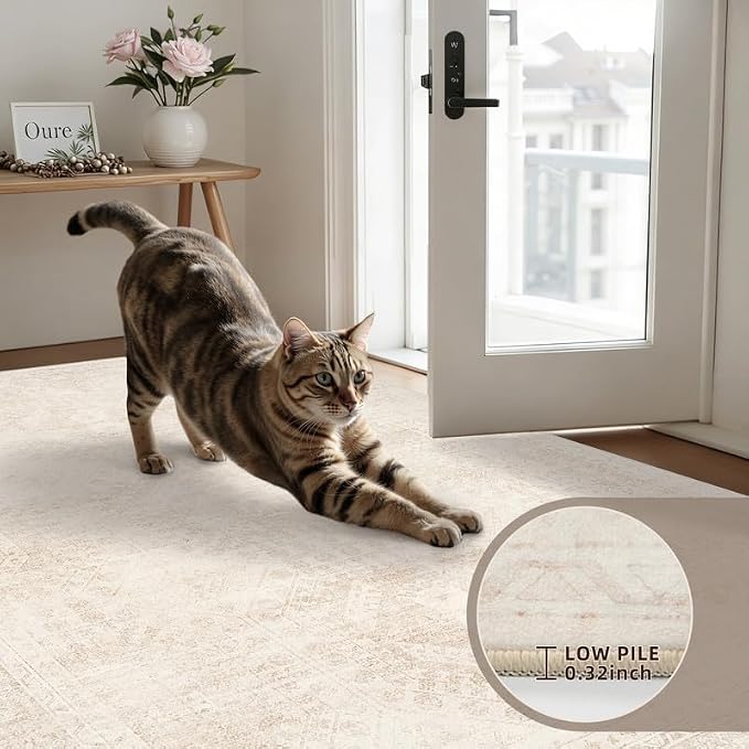 3x5 Area Rugs Living Room: Bedroom Neutral Washable Carpet Beige | Large - Image 7