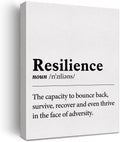 Inspirational Wall Art Decor Motivational Poster Framed Painting Print Resilience Definition Canvas Artwork for Home Office Decor 12 X 15 Inch