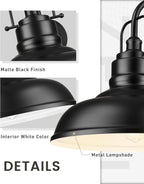 zeyu 2 Pack Gooseneck Barn Lights, Exterior Wall Mount Light for Porch, 18 Inch Modern barn Lights, Matte Black Finish, 016-1BL-2 BK