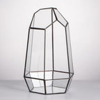 NCYP Geometric Glass Terrarium Planter for Succulent, Small Cacti, Black Irregular Opened Container Pot, Indoor Home Garden Office Tabletop Decor, 6.5" x 5.7" x 9.8" (No Plants, No Door)