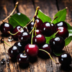 1OAK Soy Wax Scented Candles (Black Cherry) - Black Cherry Candle - Soy Candles for Home Scented - Long Burning Candles Premium - Hand-Poured (7oz.)