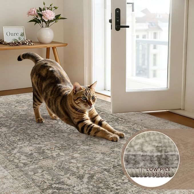 6x9 Area Rugs Living Room: Bedroom Washable Carpet Warm Taupe | Large Vintage - Image 7