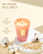 M&SENSE Tropical Spice Peach Scented Candle Home Decor, Natural Soy Wax,4.1oz 60 Hours Long Lasting Slow Burning, Aromatherapy Candle for Stress Relief