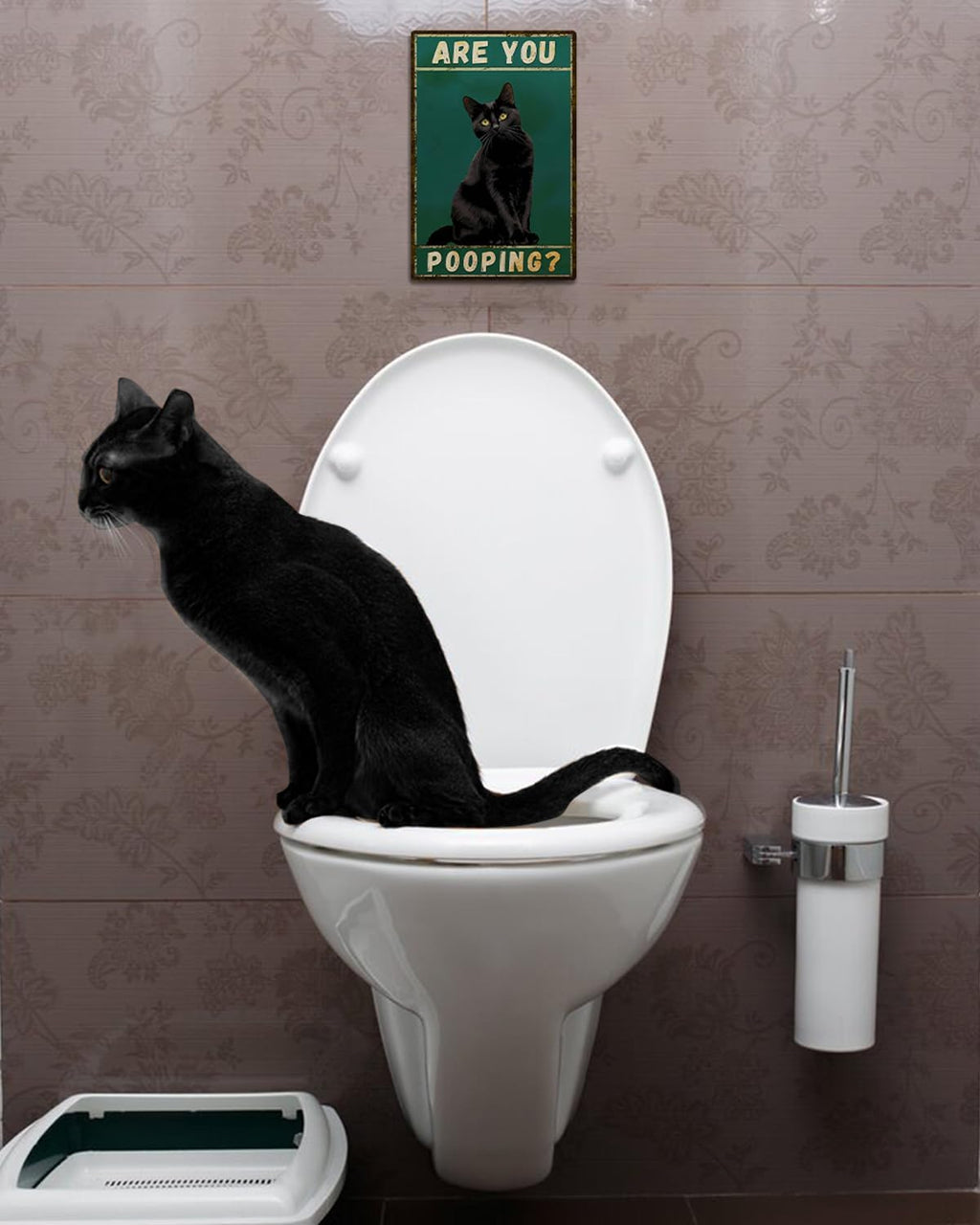 ALKB Funny Black Cat Sign Are You Pooping Metal Signs Black Cat Gift Vintage Bathroom Wall Decor 8 x 12 Inch