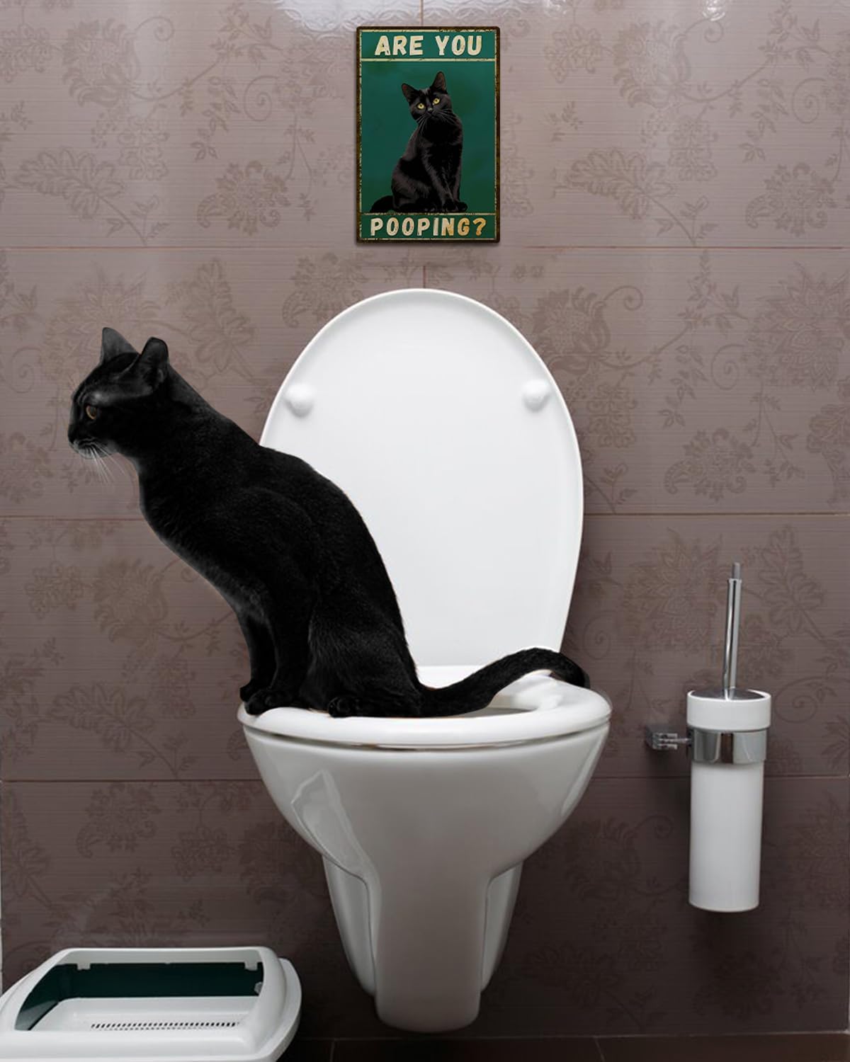 ALKB Funny Black Cat Sign Are You Pooping Metal Signs Black Cat Gift Vintage Bathroom Wall Decor 8 x 12 Inch