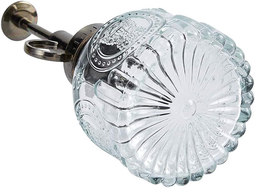 Glass Spray Bottle, 6.5" Tall Vintage Spritzer, Succulent Watering Bottle with Top Pump, Indoor Outdoor Plant Sprayer - Clear