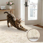 Washable Area Rugs 2x3: Living Room Bedroom Carpet Beige/Brown | Vintage Boho - Image 6