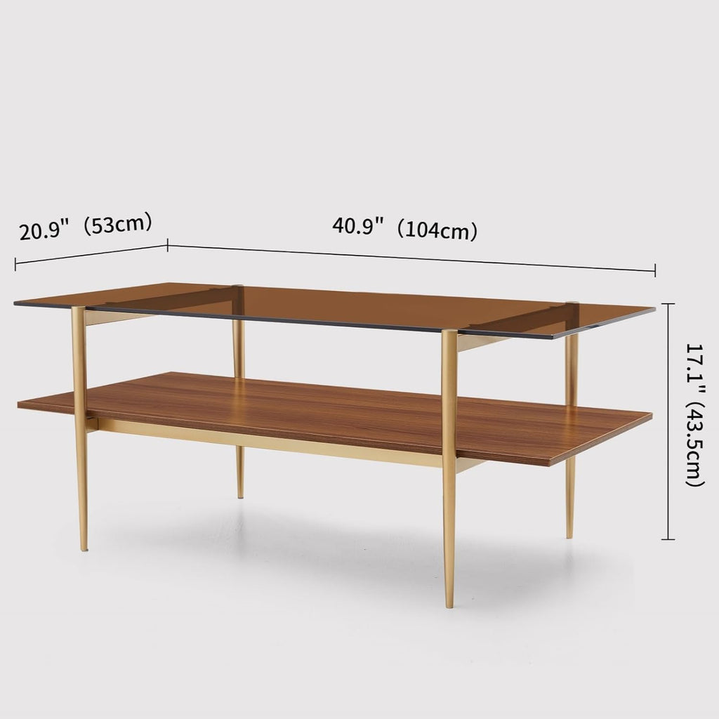 Rectangle Coffee Table, Mid-Century Modern Design, L41 W21 x H17, for Living Room, 2-Tier Structure, Amber Glass Top and Walnut MDF Shelf, Sleek Conical Metal Legs with Gold Finish