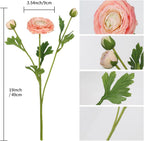 IPOPU 4PCS Real Touch Ranunculus Artificial Flowers Faux Ranunculus Flowers for Vases Real Look Silk Peonies Fake Peony Flowers for Home Indoor Wedding Centerpieces for Table Decorations (Champagne)