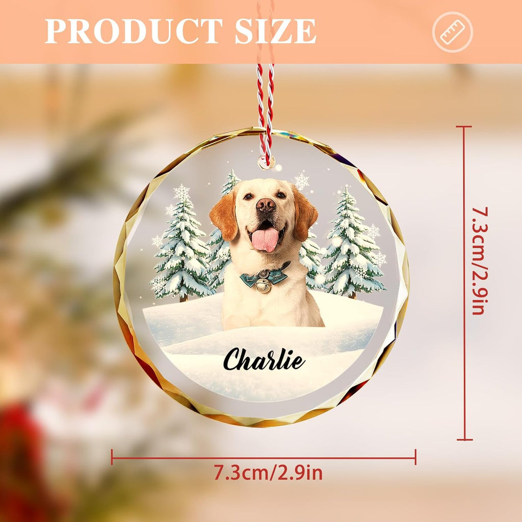 Custom Pet Christmas Ornament with Photo – Personalized Crystal Dog Cat Memorial Gift – Snow Scene Holiday Decor