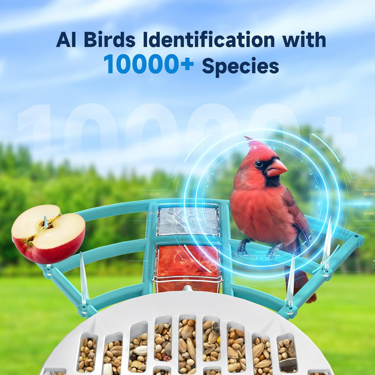 Smart Bird Feeder with Camera, 2K HD Bird Feeders for Outdoors with Solar Panel, Al Identification, Idea Gift, Blue