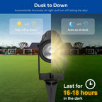 ZYAN Solar Landscape Spotlights Outdoor Waterproof IP65, Bright Solar Powered Garden Yard Spot Lights for Outside Plant, Tree, Pathway, Auto On/Off Wall Lights for Walkway, Patio, Lawn-8 Pack