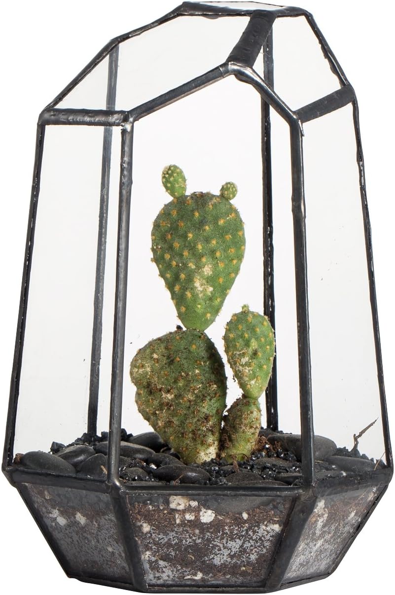 NCYP Small Geometric Terrarium - 4.1" x 3.5" x 5.9" Miniature Irregular Glass Terrarium Planter for Succulent Air Plants - Tabletop Garden Display Container, Black (No Plants, No Door)