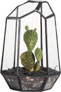 NCYP Small Geometric Terrarium - 4.1" x 3.5" x 5.9" Miniature Irregular Glass Terrarium Planter for Succulent Air Plants - Tabletop Garden Display Container, Black (No Plants, No Door)