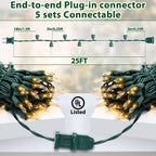 Clear Christmas Lights 25FT 100 Incandescent Bulbs Warm White Mini Lights with Green Wire for Christmas Tree, Garland, Thanksgiving, Wedding, Party, Home, Indoor & Outdoor Festival Decoration
