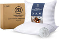 Threadmill Bed Pillows Queen Size Set of 2 | Soft Down Alternative Cooling Bed Pillow for Sleeping | Soft Pillows for Bed | 20x30 Hotel Pillow, Queen Pillows 2 Pack for Back, Stomach or Side Sleepers