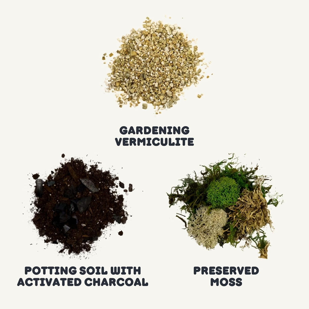 Cute Farms Terrarium Starter Kit | Moss, Vermiculite, Soil, Pebbles, Plant Food, Finishing Tools, Build and Care Guide | DIY Succulent Terrarium for Adults and Kids (Small)