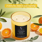 Citrus & Sage Scented Candle, 2-Wick Luxury Soy Wax Candle, 9 oz Aromatherapy Candle Home Fragrance Candles Gift