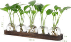 YIBOT Plant Propagation Stations,Glass Propagation Vases for Plants Terrarium with Wooden Tray Plant Lover Gifts for Propagating Hydroponic Plants Home Office Decor(5 Vase)