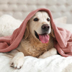BEDELITE Fleece Blanket Soft Plush Twin Size Blanket Dusty Pink 60"x80" | Ultra - Image 8