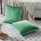GIGIZAZA Decorative Throw Pillow Covers 16x16, Velvet Sofa Boho Cushion Pillows - Image 5