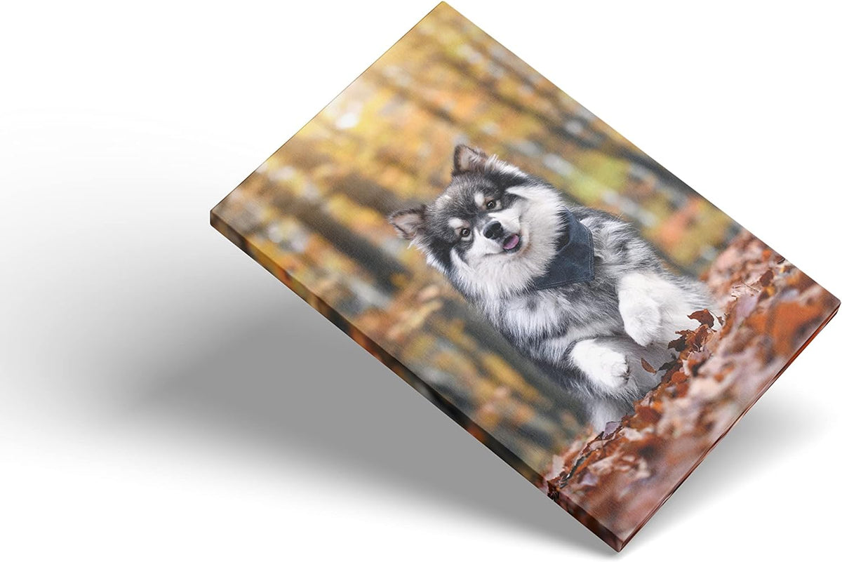 Custom Canvas Prints With Your Photos,Personalized Pictures On Canvas Wall Art for Bedroom, Living Room, Wedding Baby Pet Family Picture Framed Wall Art (5"W x 7"H) - Gift Wrapping Available