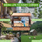 Window Bird Feeder with Strong Suction Cups, Metal Bird Feeders for Outdoors Birdwatching Gifts for Cats & Nature Lovers