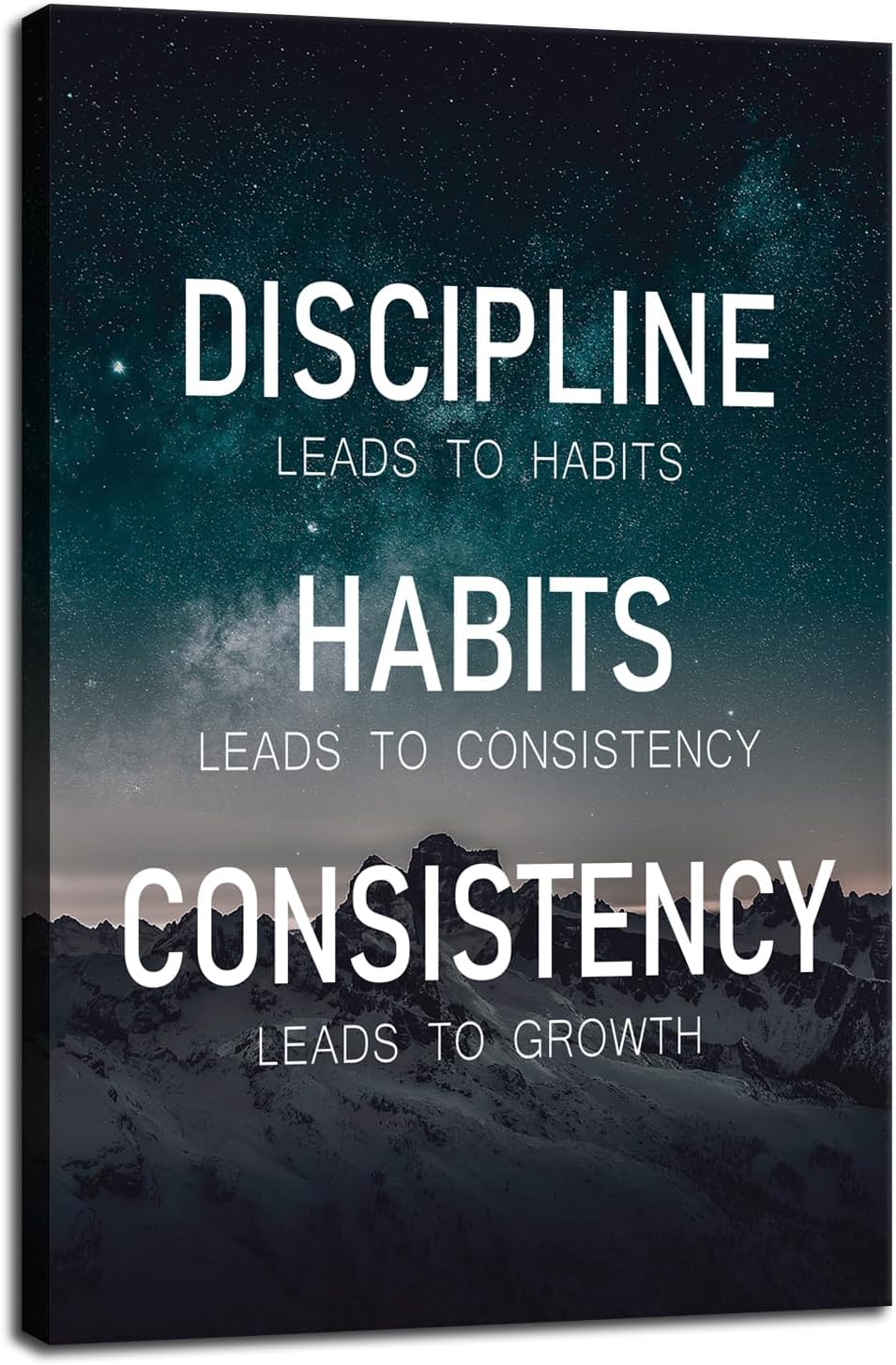 Discipline Habits Consistency Growth Motivational Wall Art Inspirational Poster Canvas Prints Artwork for Office Modern Home Decor Painting Pictures Stretched and Framed Ready to Hang [12''Wx 18''H]