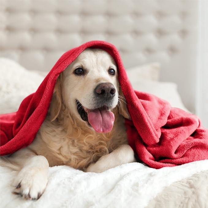 BEDELITE Fleece Blanket Soft Plush Full Bed Blanket Red 84"x90" | Ultra Soft - Image 6